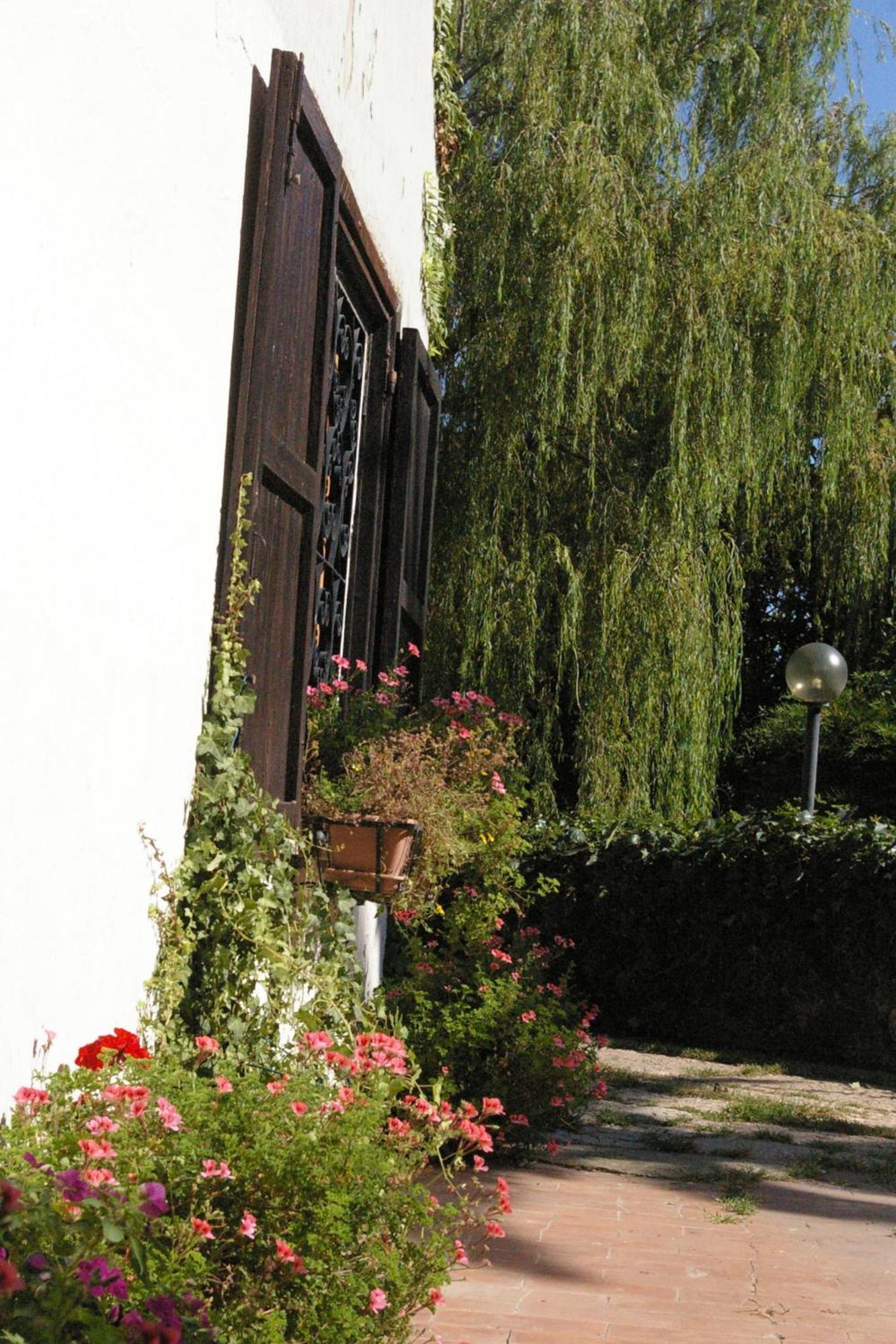 B&B Villa Sans Souci Civitavecchia Exterior photo