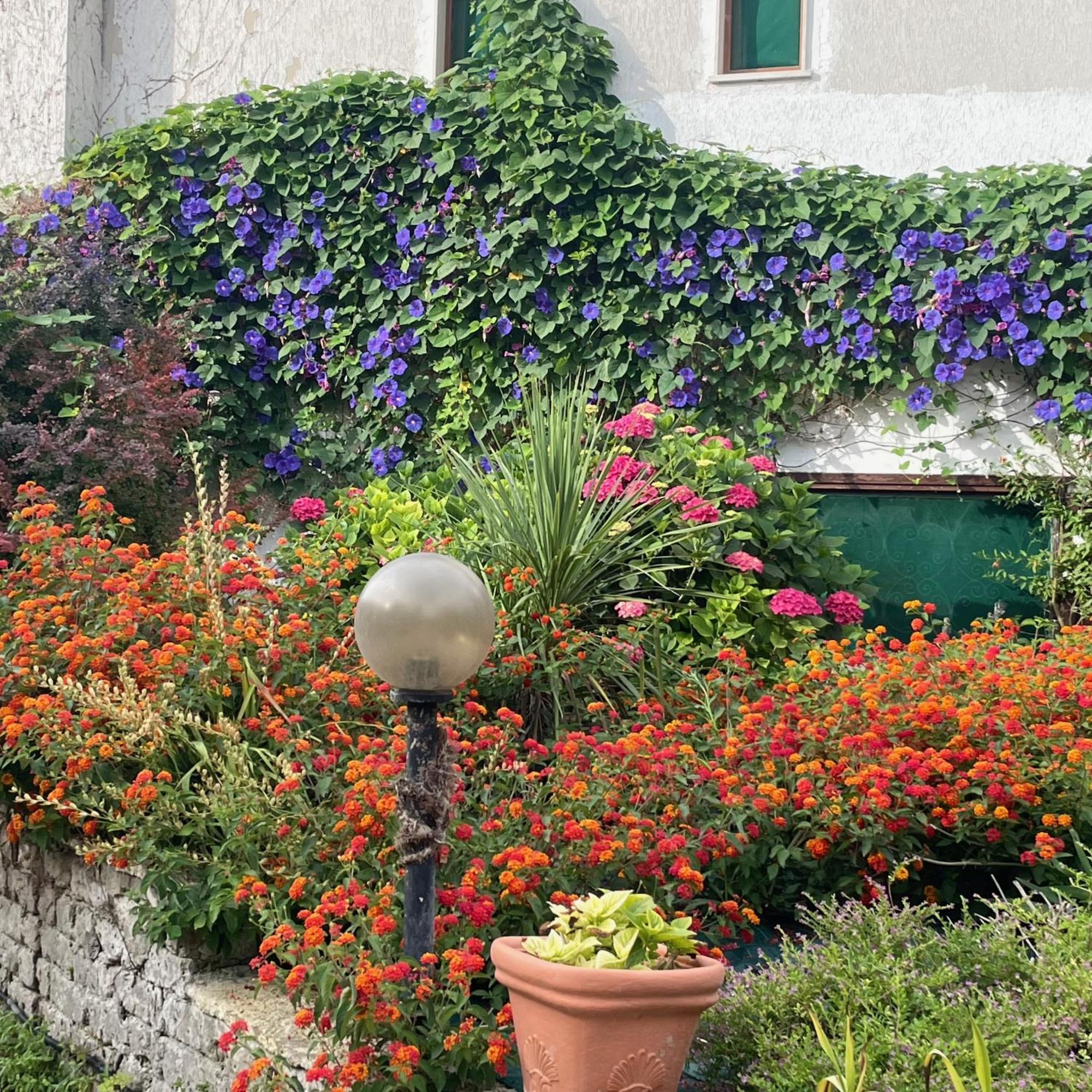 B&B Villa Sans Souci Civitavecchia Exterior photo
