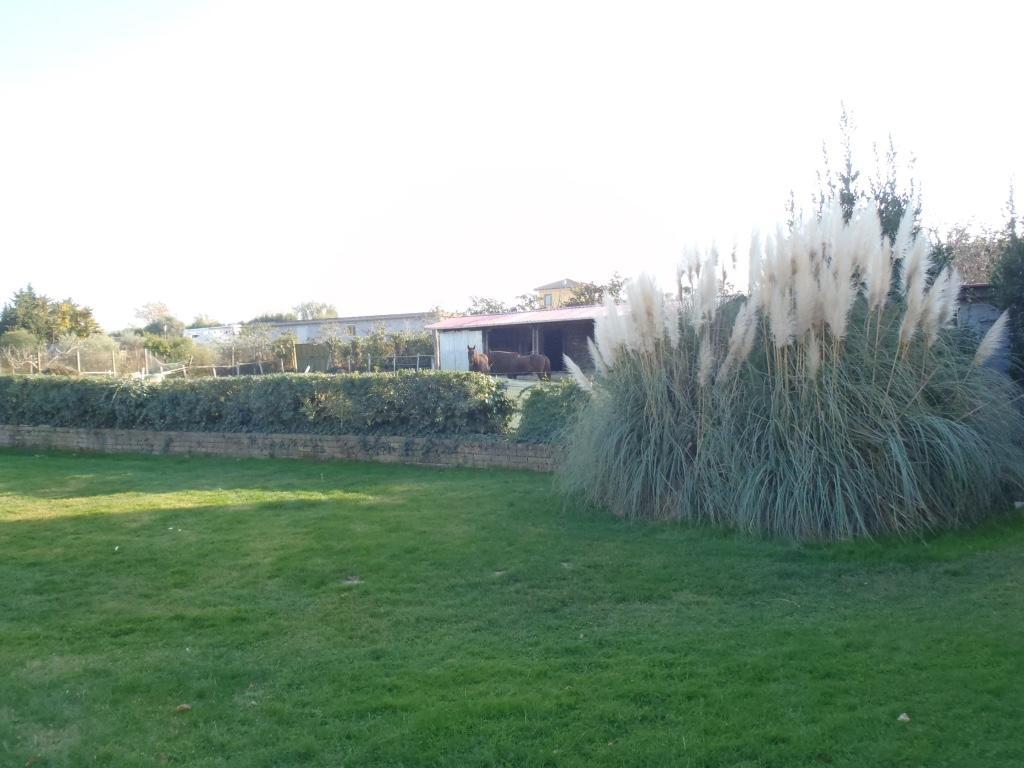 B&B Villa Sans Souci Civitavecchia Exterior photo